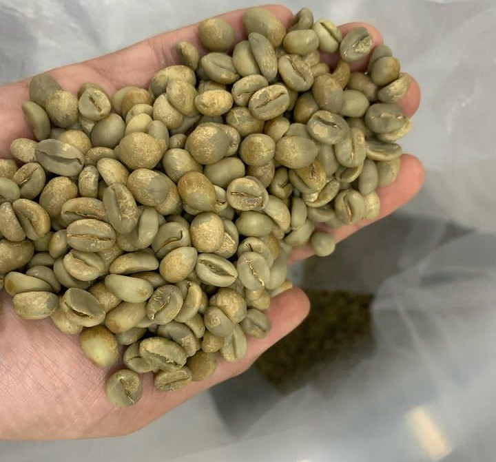 green_coffee