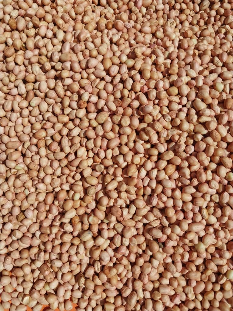 white_groundnuts