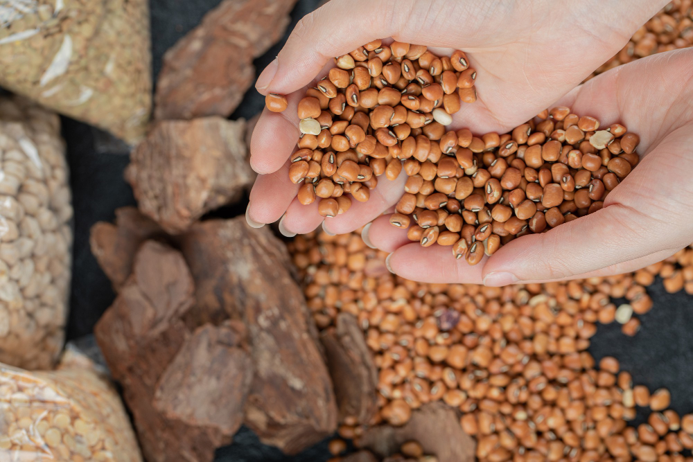 beans_in_hand