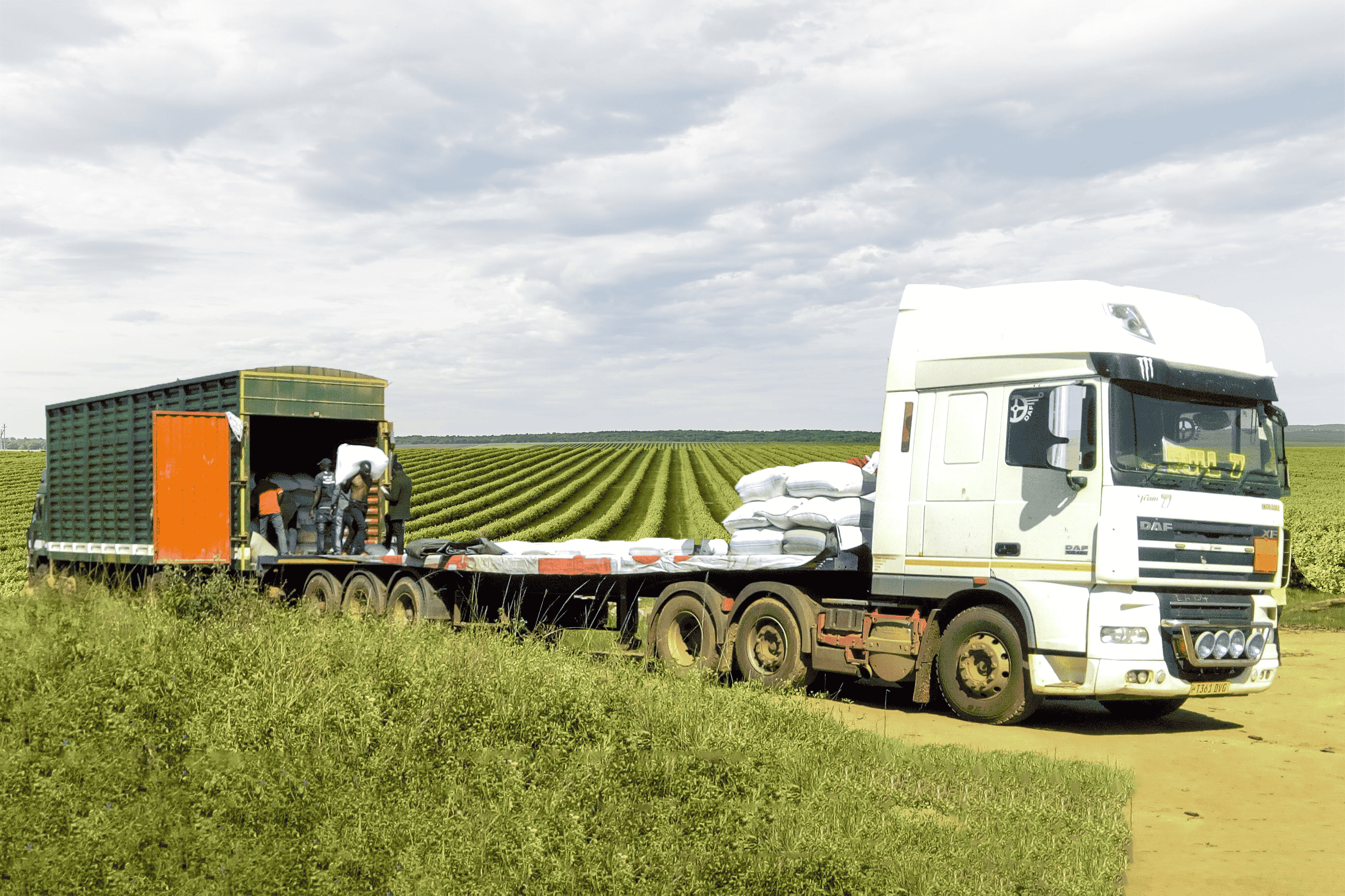 Agriculture_Export